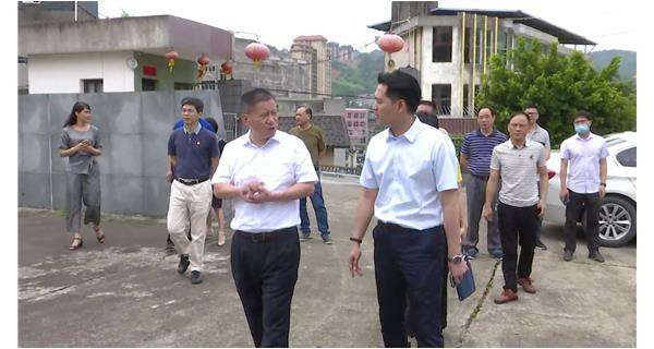 郑县长一行莅临新半岛官方网站-半岛(中国)指导调研